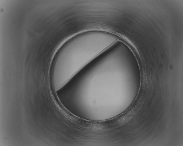 X0000086780935200704130825