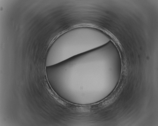 X0000086780937200704130825