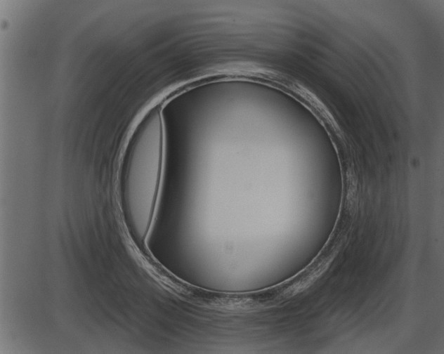 X0000086780939200704130825