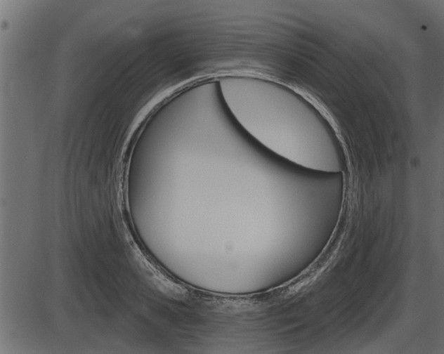 X0000086780941200704130825