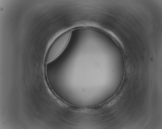 X0000086780943200704130825