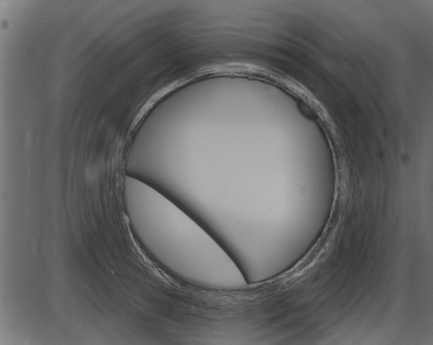 X0000086780945200704130825