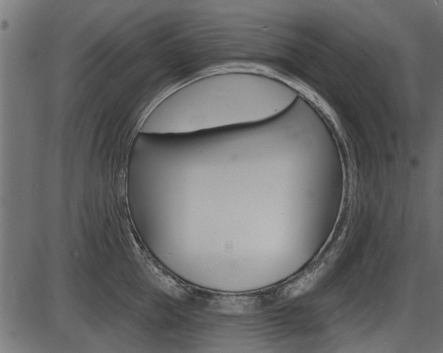 X0000086780953200704130825