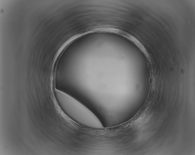 X0000086780955200704130825