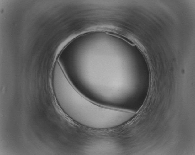 X0000086780960200704130825
