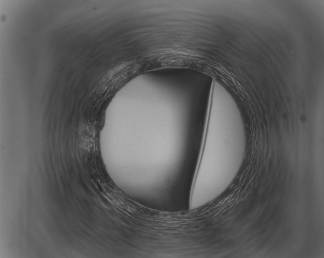 X0000086780964200704130825