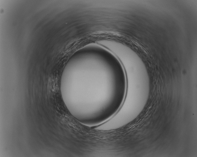 X0000086780965200704130825