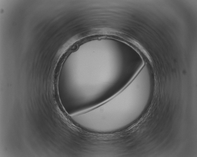 X0000086780972200704130825