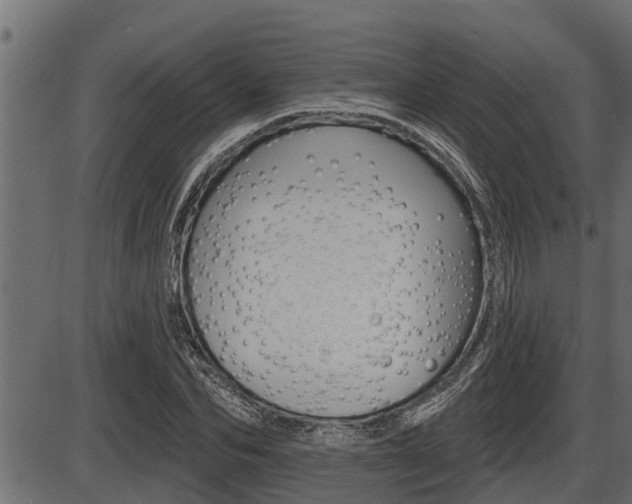 X0000086780974200704130824