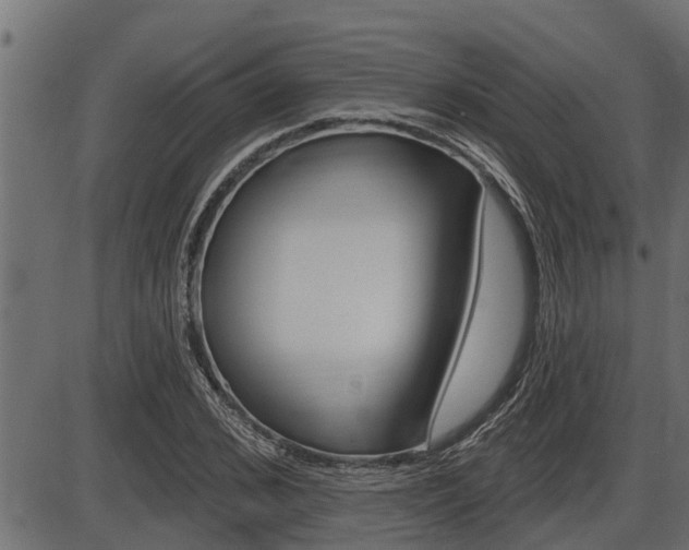 X0000086780976200704130824