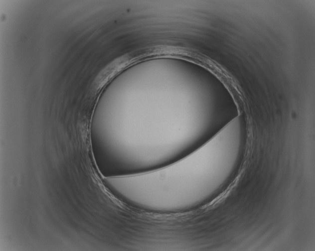 X0000086780985200704130824