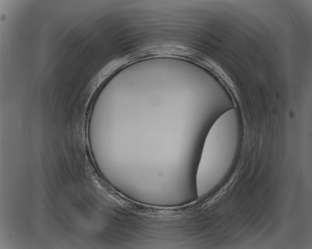 X0000086780986200704130824