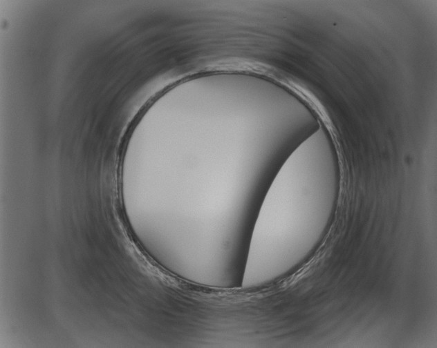 X0000086781000200704130824