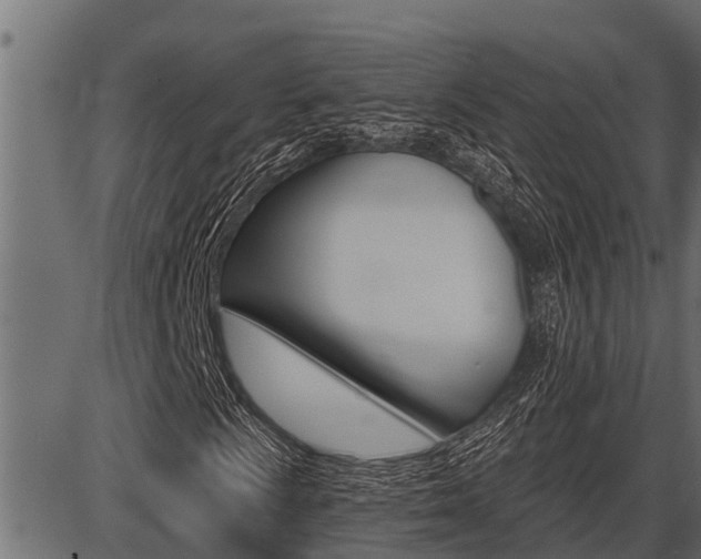 X0000086781009200704130823