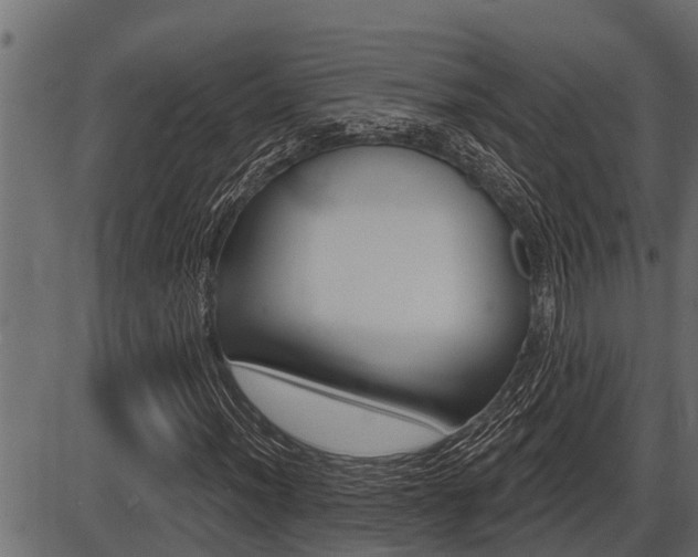 X0000086781012200704130823
