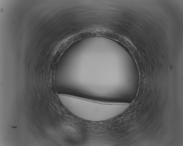 X0000086781016200704130823