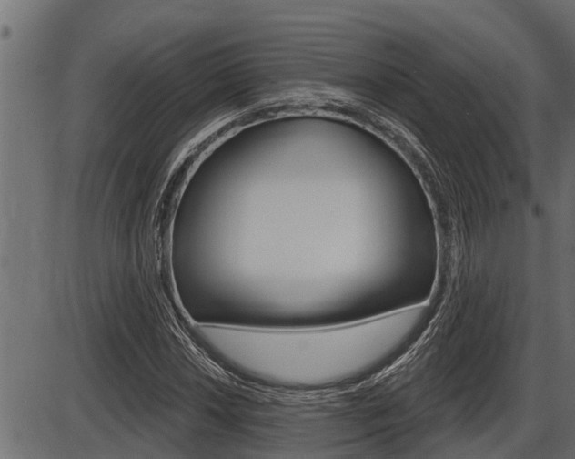 X0000086781018200704130823