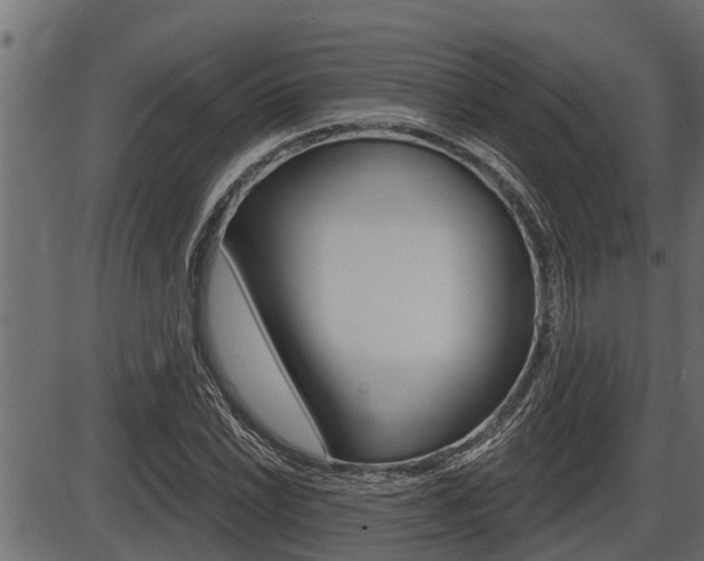 X0000086781022200704130823