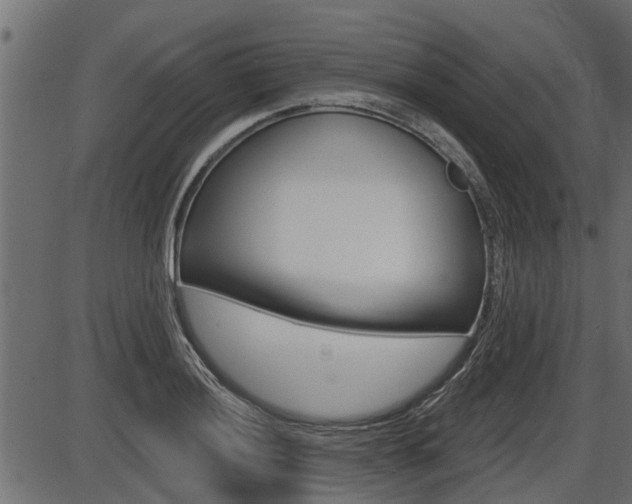 X0000086781036200704130824