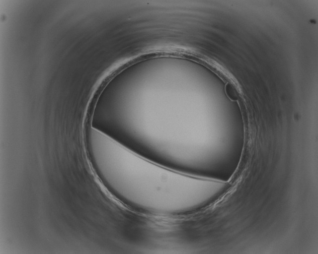 X0000086781037200704130824