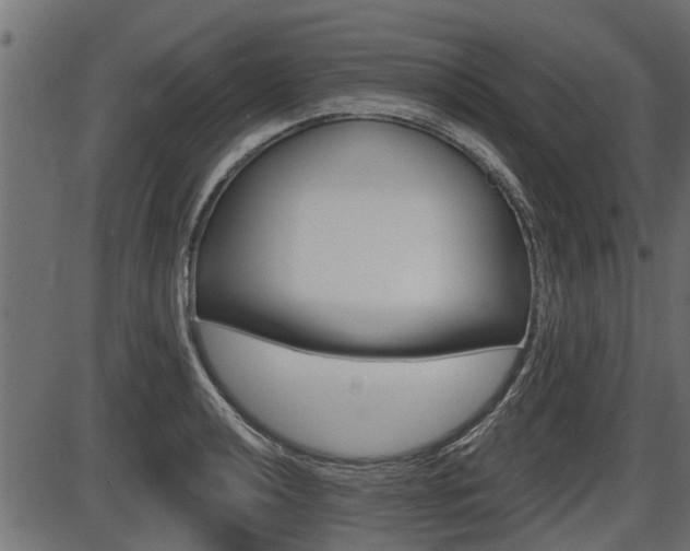 X0000086781040200704130824