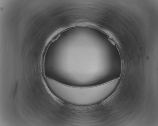 X0000086781046200704130824