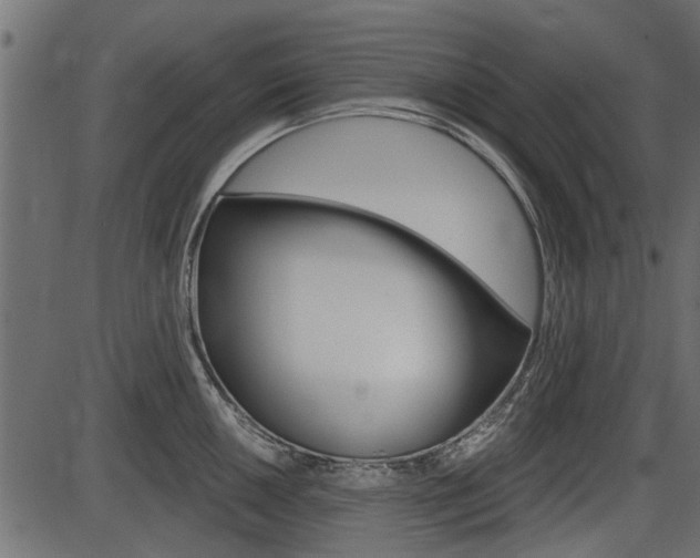 X0000086781050200704130824