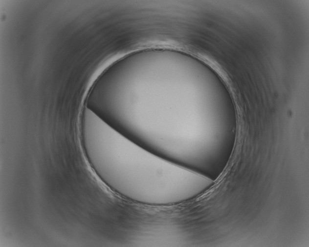 X0000086781056200704130824