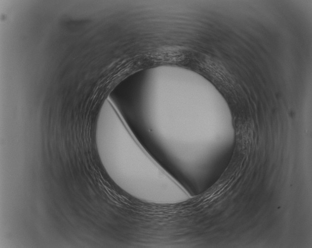 X0000086781058200704130823