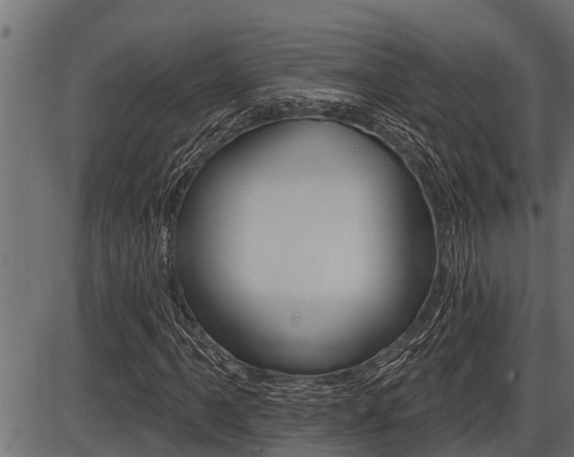 X0000086781061200704130823