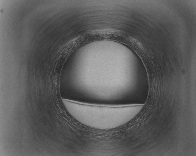 X0000086781062200704130823