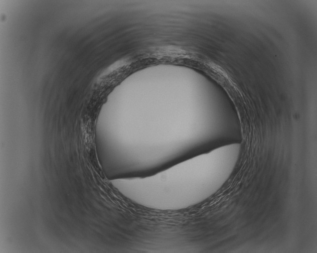 X0000086781063200704130823