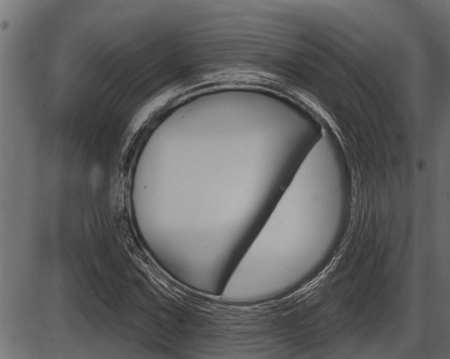 X0000086781067200704130823