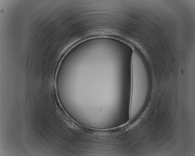 X0000086781073200704130823