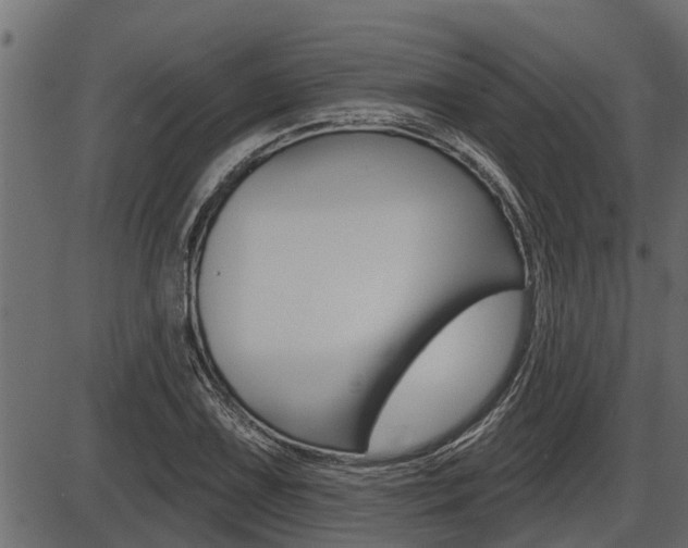 X0000086781075200704130823