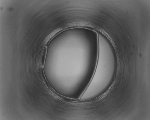 X0000086781081200704130823