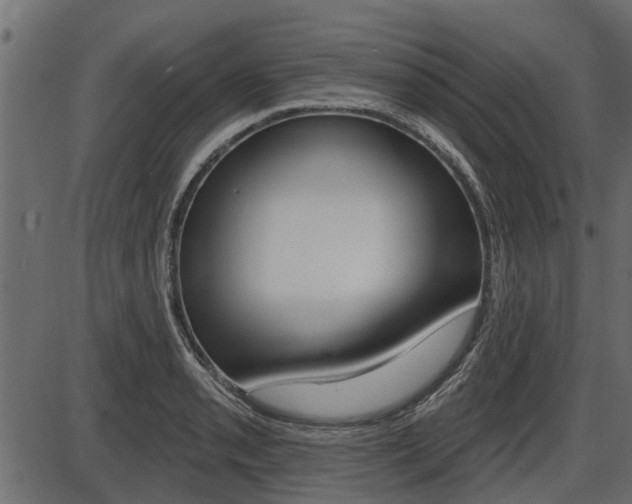 X0000086781085200704130823