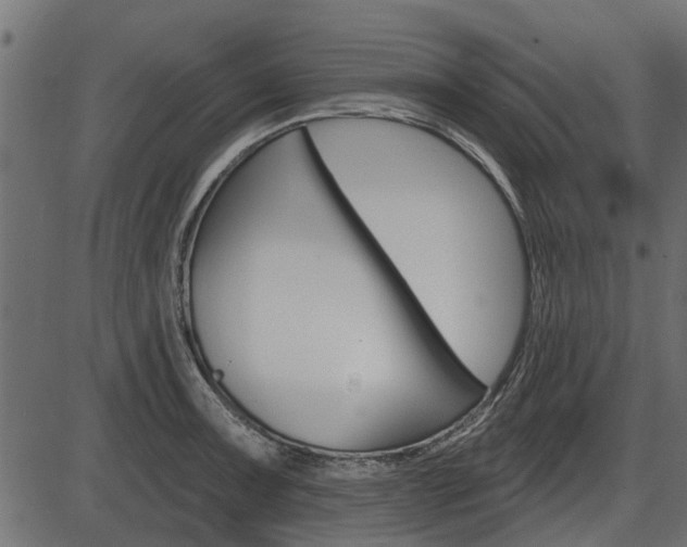 X0000086781091200704130823