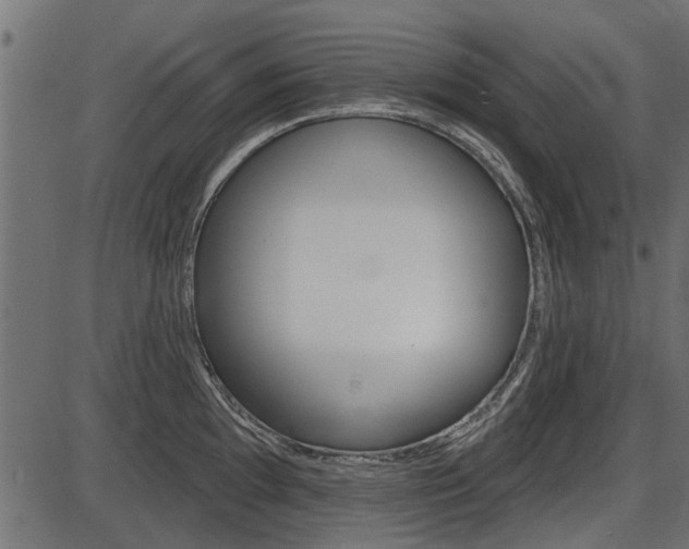 X0000086781097200704130822
