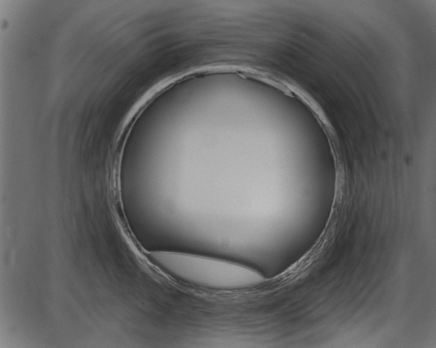 X0000086781101200704130822
