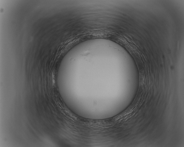 X0000086781106200704130822