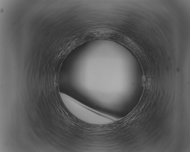X0000086781108200704130822