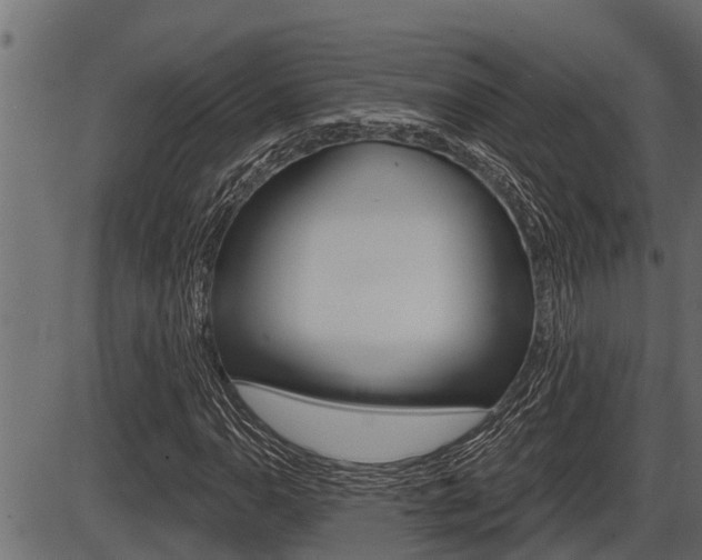 X0000086781110200704130822