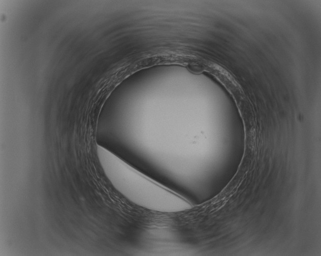 X0000086781111200704130822