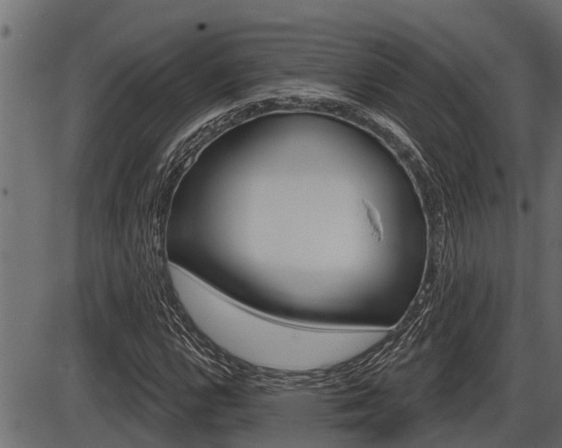 X0000086781112200704130822