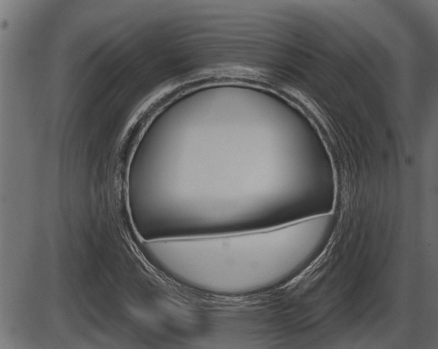 X0000086781115200704130822