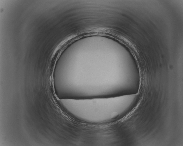 X0000086781117200704130822