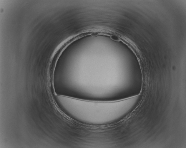 X0000086781120200704130822