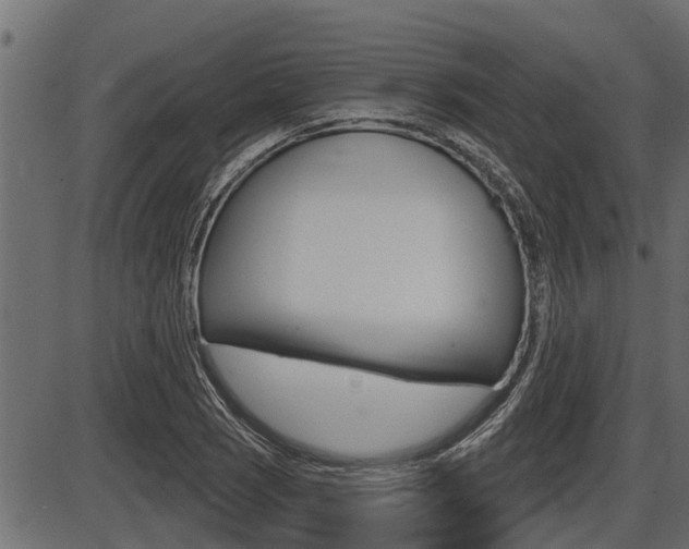 X0000086781121200704130822