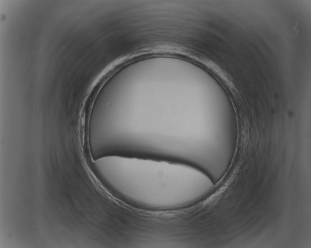 X0000086781126200704130822